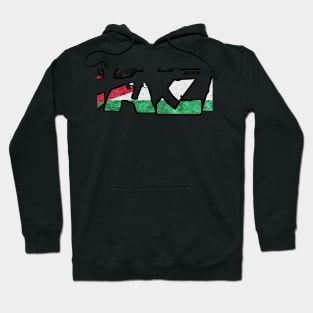 Gaza pride Hoodie